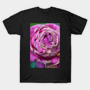 Rose T-Shirt